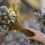 “Не я б’ю – верба б’є, за тиждень – Великдень!”
